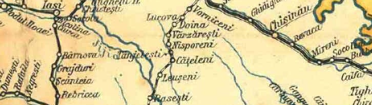 cfr-tinjelesti