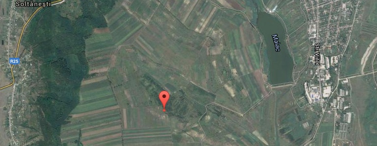 tingelesti-map