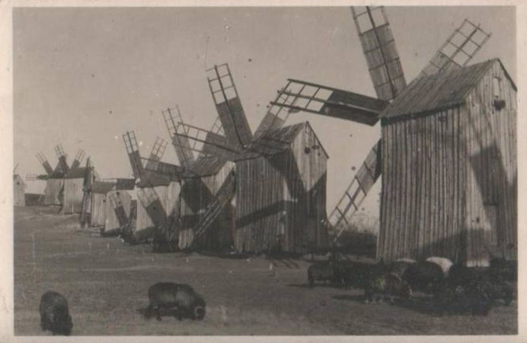 M _Ниспорены