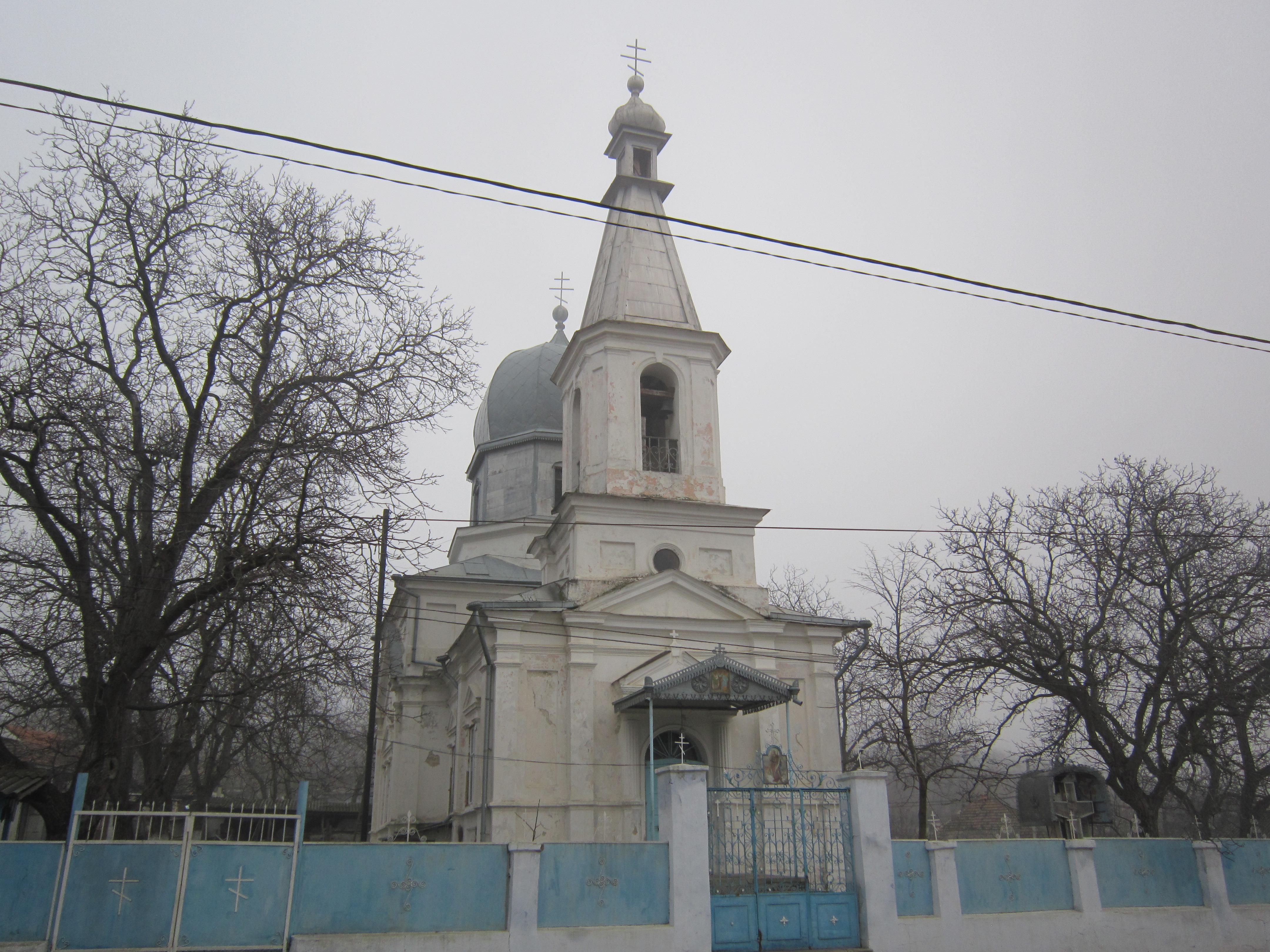 IMG_1195.JPG